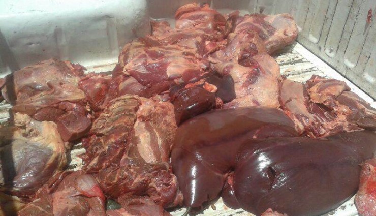 اللحوم الفاسدة - أرشيفية