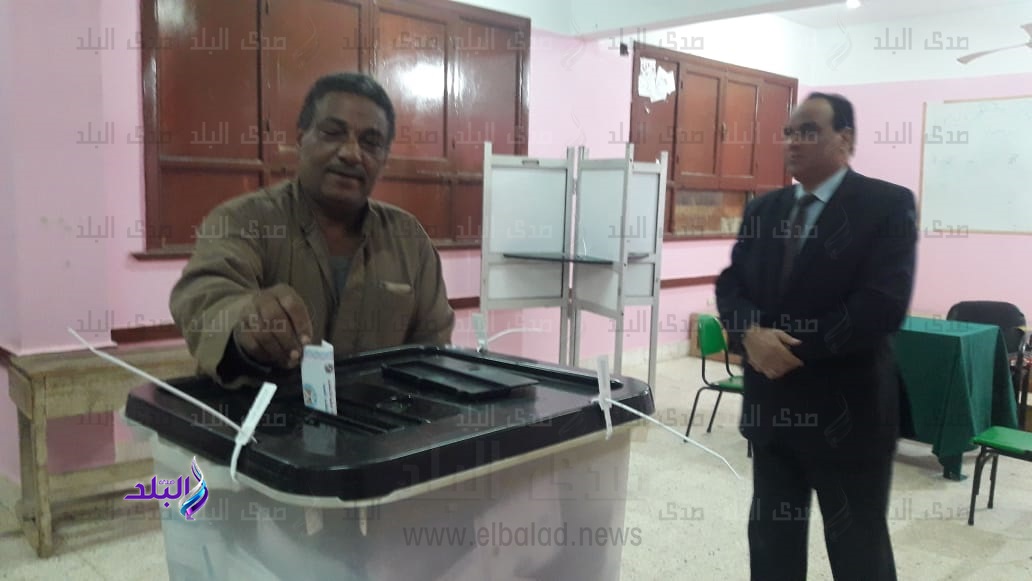 الانتخابات التكميلية لمجلس النواب الانتخابات التكميلية لمجلس النواب