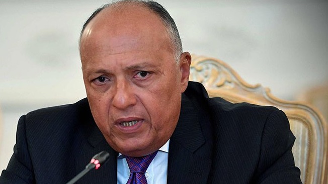 وزير الخارجية سامح شكري