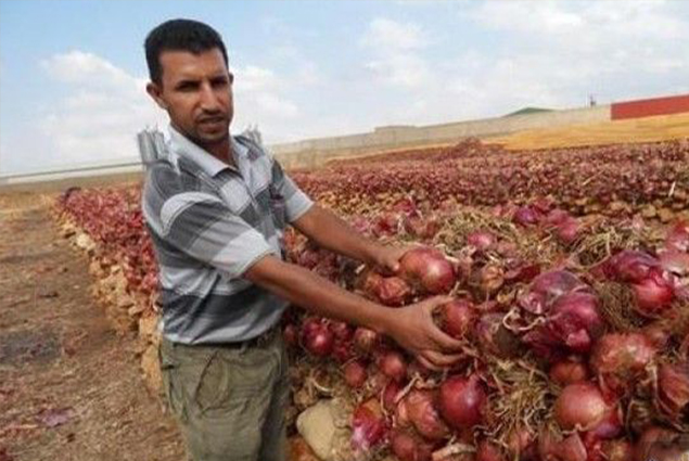 صورة ارشيفية