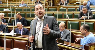 اتصالات النواب: تيك توك تحوّل لمنصة لبث فيديوهات ضد قيم وأخلاق المجتمع