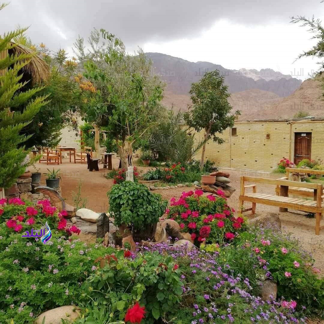 انتعاش حركة السياحة بسانت كاترين و١٦٩٠ سائح زاروا جبل موسى