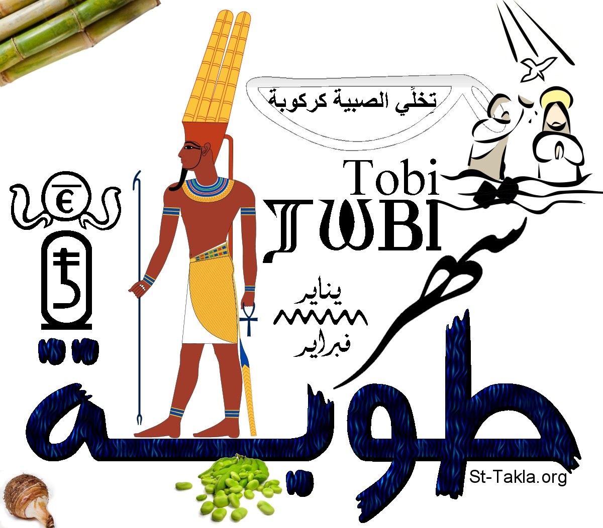 أمثال شعبية عن الطقس