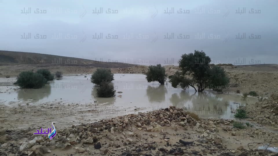 سيول خفيفة في عدة مناطق بوسط سيناء سيول خفيفة في عدة مناطق بوسط سيناء