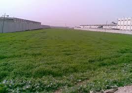 5 ملايين جنيه لمشروع الظهير الزراعي بقرية البشندي بالوادي