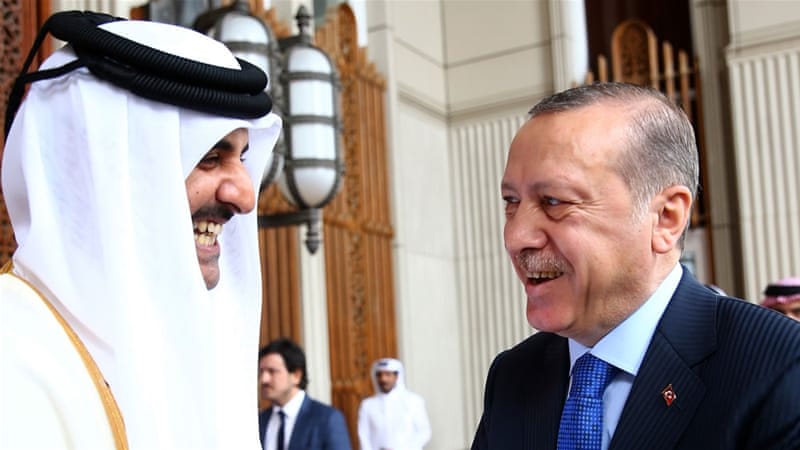 أردوغان وتميم
