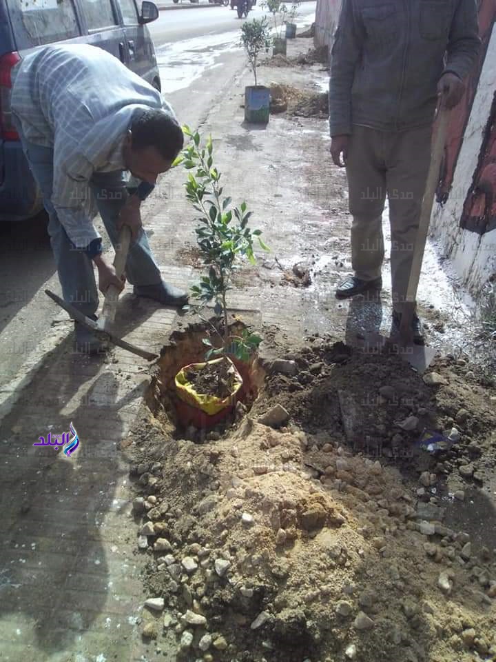 إيتاى البارود تنافس فى مسابقة اجمل مركز ومدينة بالبحيرة