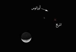أرشيفية أرشيفية