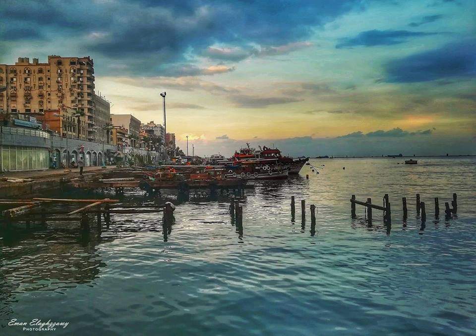 ٢١ سفينة إجمالي حركة السفن بموانئ بورسعيد