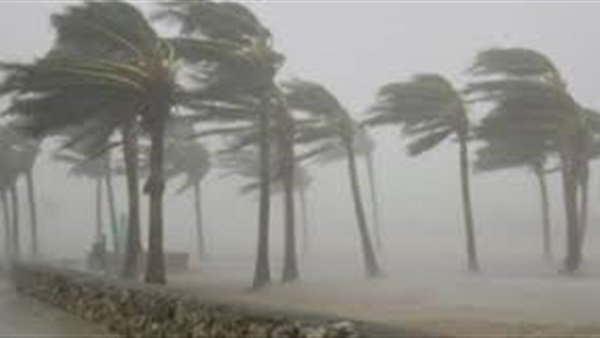 أرشيفية  أرشيفية