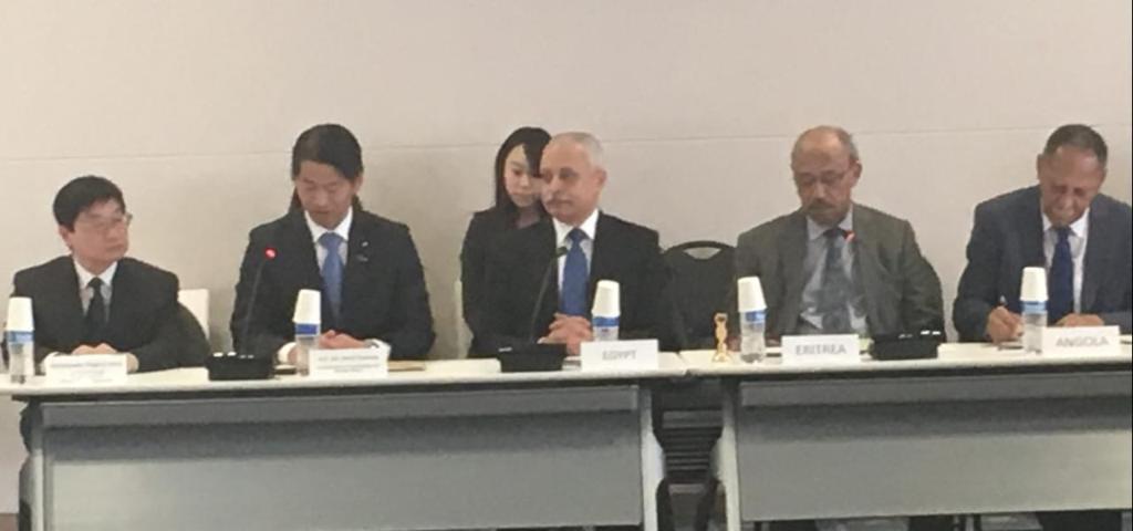 السفير أيمن كامل