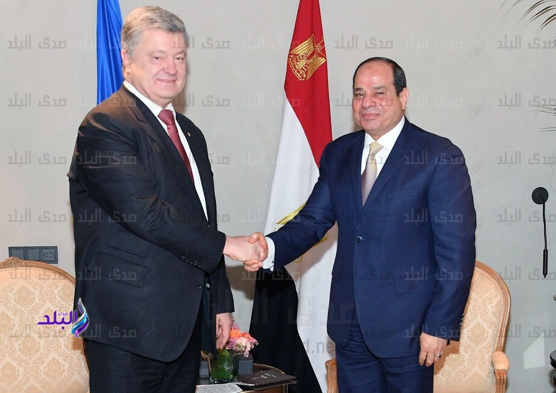 السيسي ونظيره الأوكراني السيسي ونظيره الأوكراني