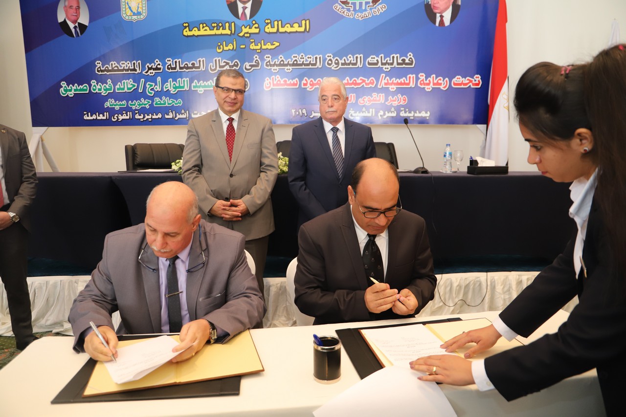 وزير القوى العاملة محمد سعفان