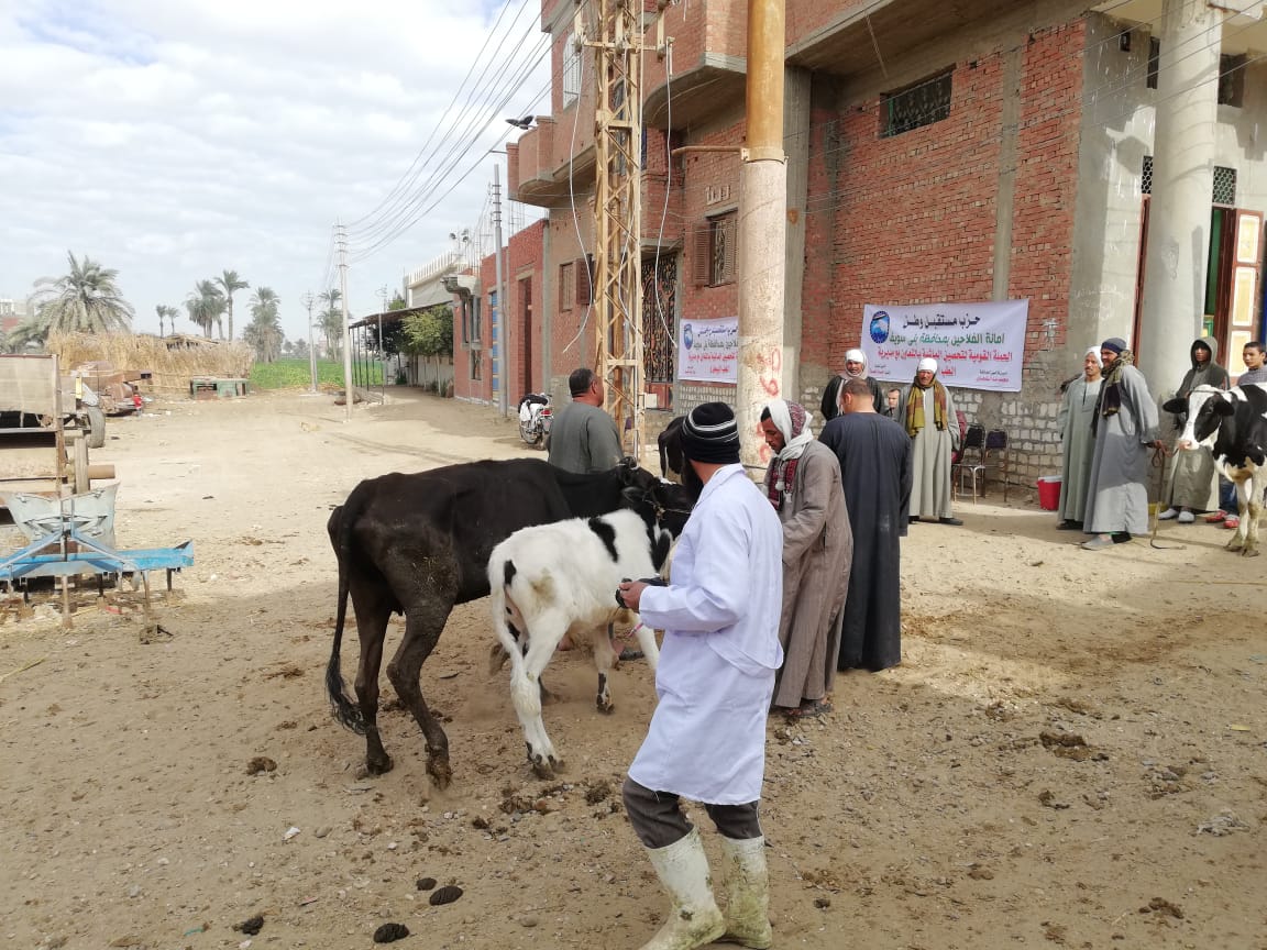 محافظ بني سويف:تحصين وتسجيل 130 ألف ضمن الحملة القومية محافظ بني سويف:تحصين وتسجيل 130 ألف ضمن الحملة القومية