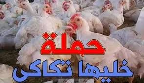حملة خليها تكاكي حملة خليها تكاكي