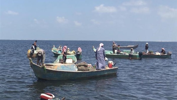 ضبط قاربين مخالفين لضوابط الصيد ببحيرة البردويل ضبط قاربين مخالفين لضوابط الصيد ببحيرة البردويل