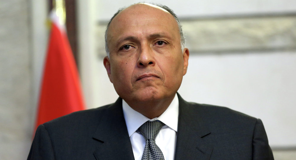 وزير الخارجية المصري