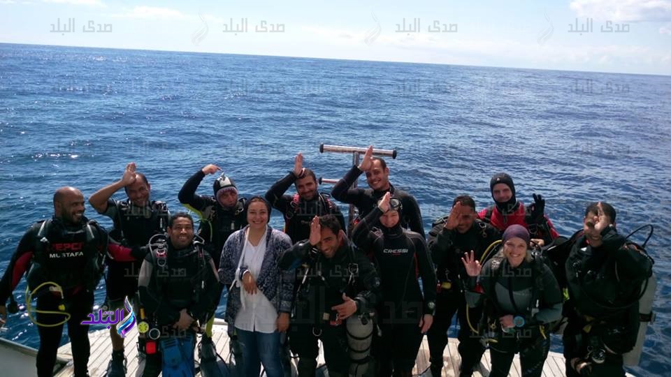 تدريب الغواصين للتعامل مع القروش بالبحر الأحمر تدريب الغواصين للتعامل مع القروش بالبحر الأحمر