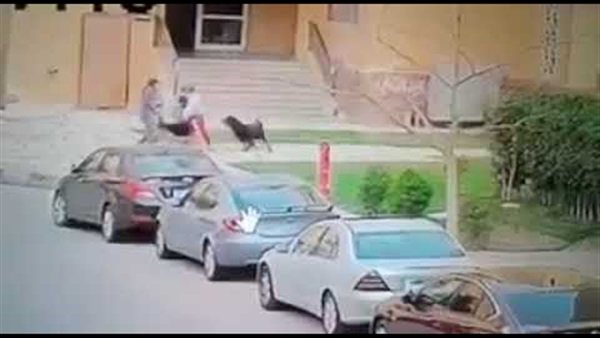 صورة للواقعة