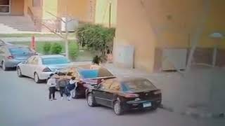 كلاب شرسه تهاجم طفل صغير فى مدينتي 