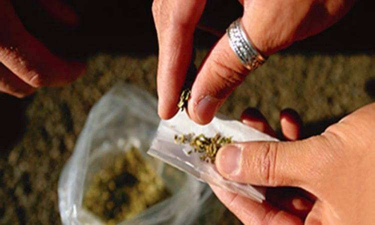 إحباط ترويج مخدر الفودو 