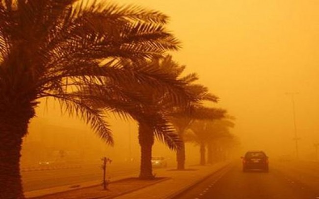 صورة أرشيفية