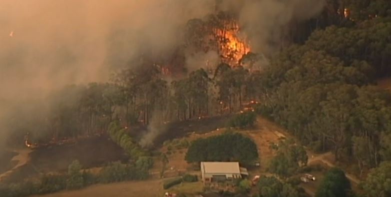 صورة من الفيديو 