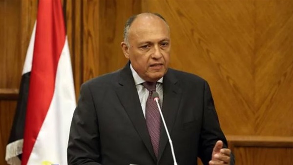 سامح شكري وزير الخارجية