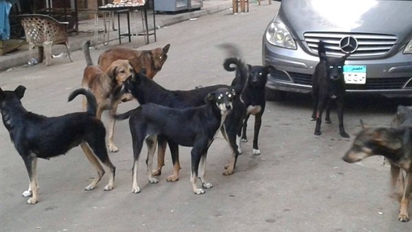 صورة أرشيفية صورة أرشيفية
