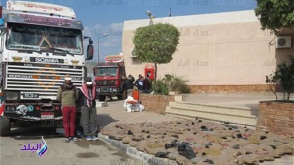 المتهمين المتهمين