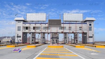 ضياء رشوان ضياء رشوان