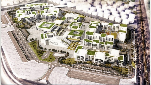 جامعة العلمين الدولية للعلوم والتكنولوجيا 