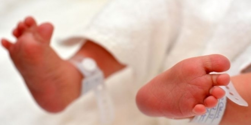 أرشيفية أرشيفية