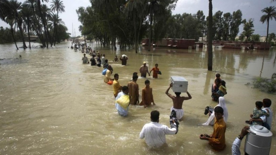 ضحايا ملاوي 