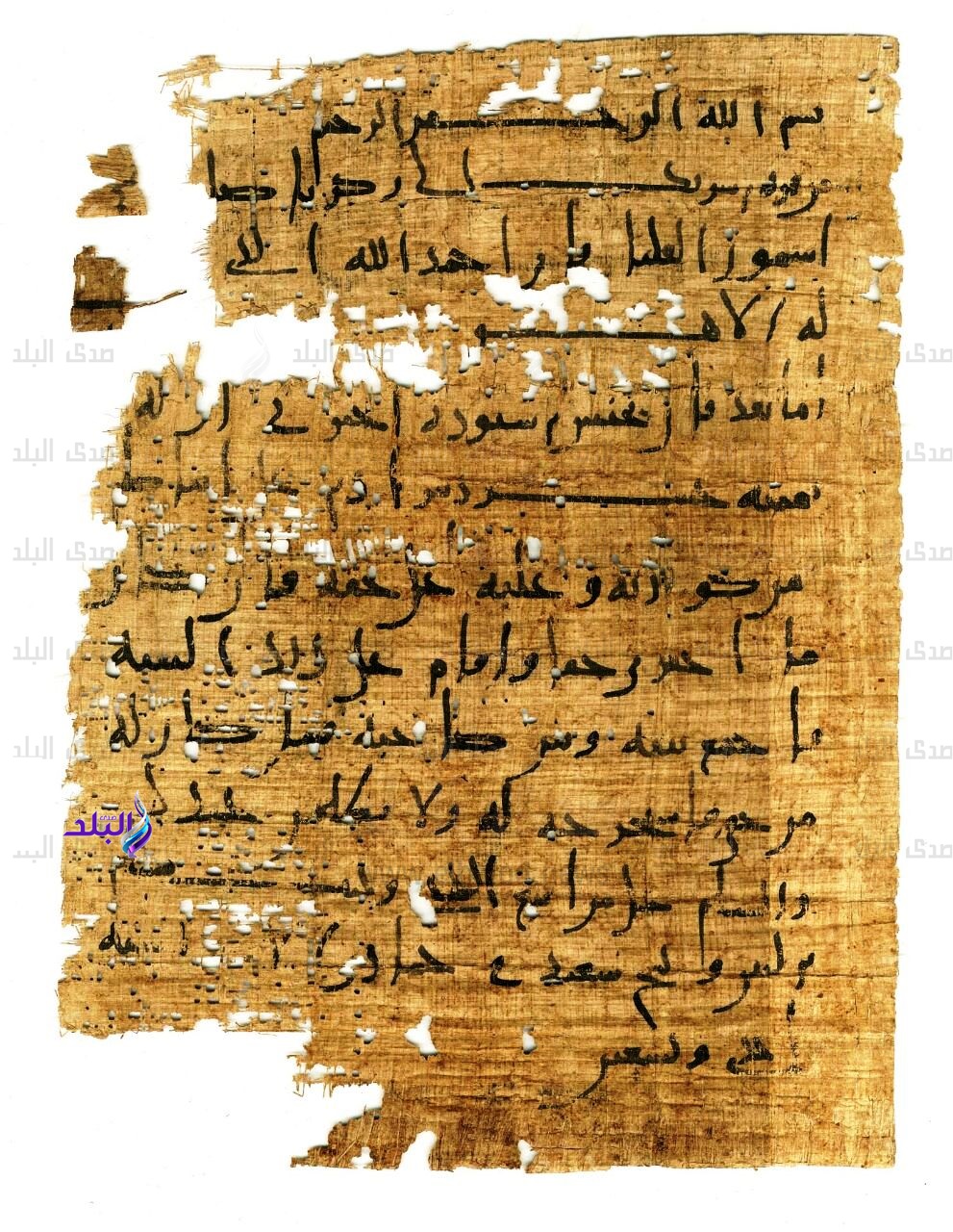 بردية قرة بن شريك 