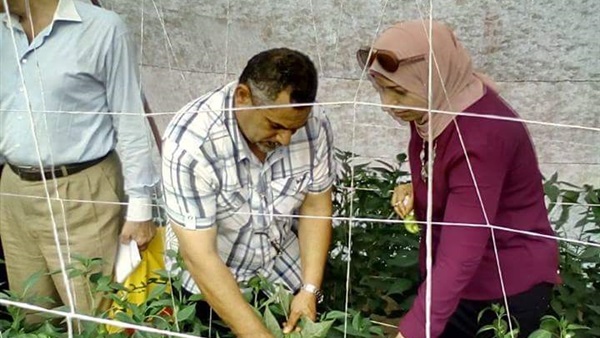 الإدارة المركزية للبساتين والمحاصيل الزراعية الإدارة المركزية للبساتين والمحاصيل الزراعية
