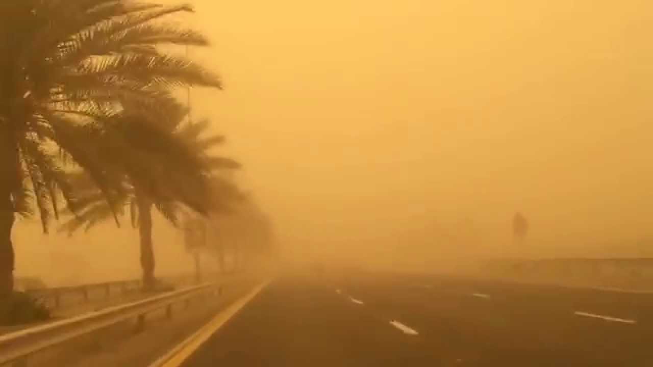 عواصف ترابية تضرب عدة مناطق بالوادي الجديد عواصف ترابية تضرب عدة مناطق بالوادي الجديد