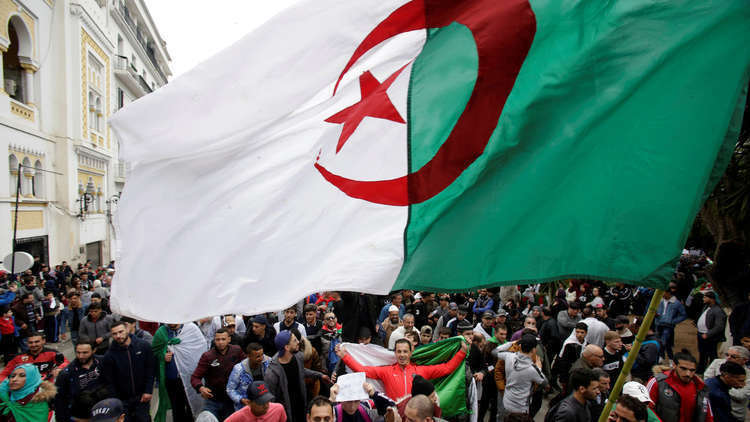 متظاهرون جزائريون 