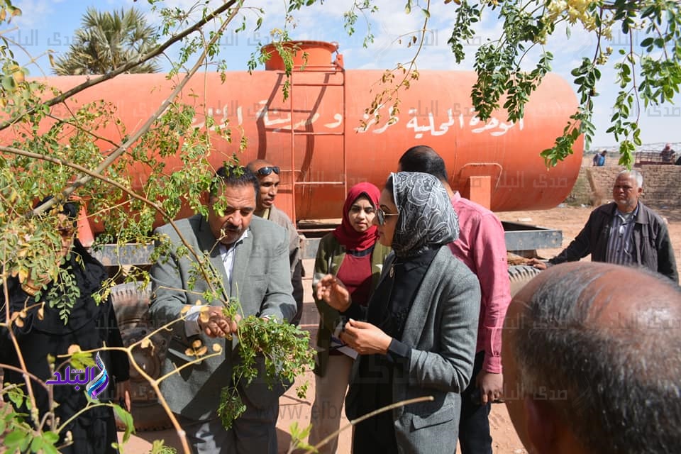 نائب محافظ الوادى الجديد، حنان مجدي