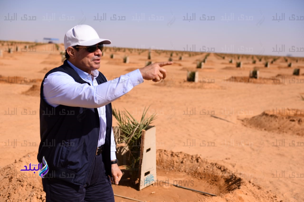الرئيس عبد الفتاح السيسي الرئيس عبد الفتاح السيسي