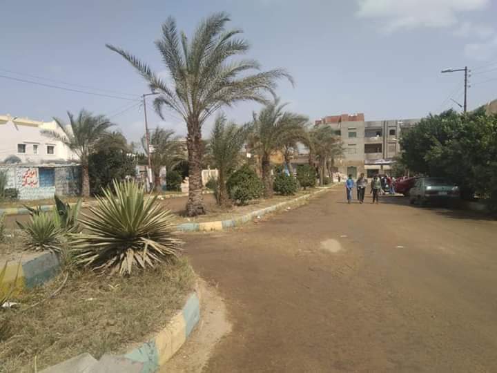 الوحدات المحلية بالبحيرة 