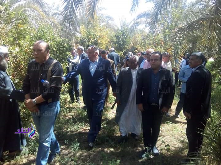 وفد تنمية الصادرات البستانية يتفقد مشروعات الوادي الجديد وفد تنمية الصادرات البستانية يتفقد مشروعات الوادي الجديد