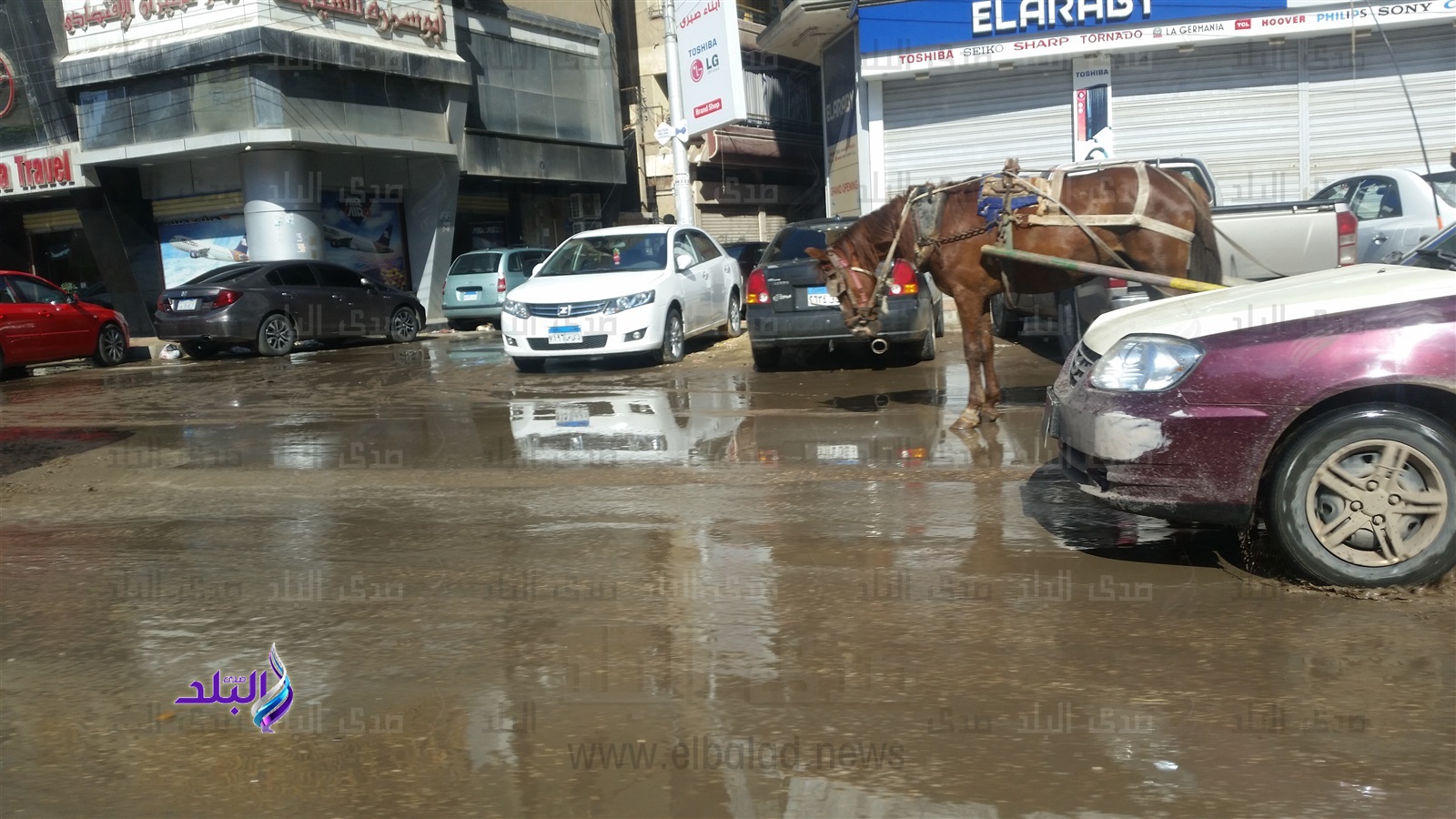 امطار غزيرة بالدقهليه وتوقف لحركة الصيد بالمنزله