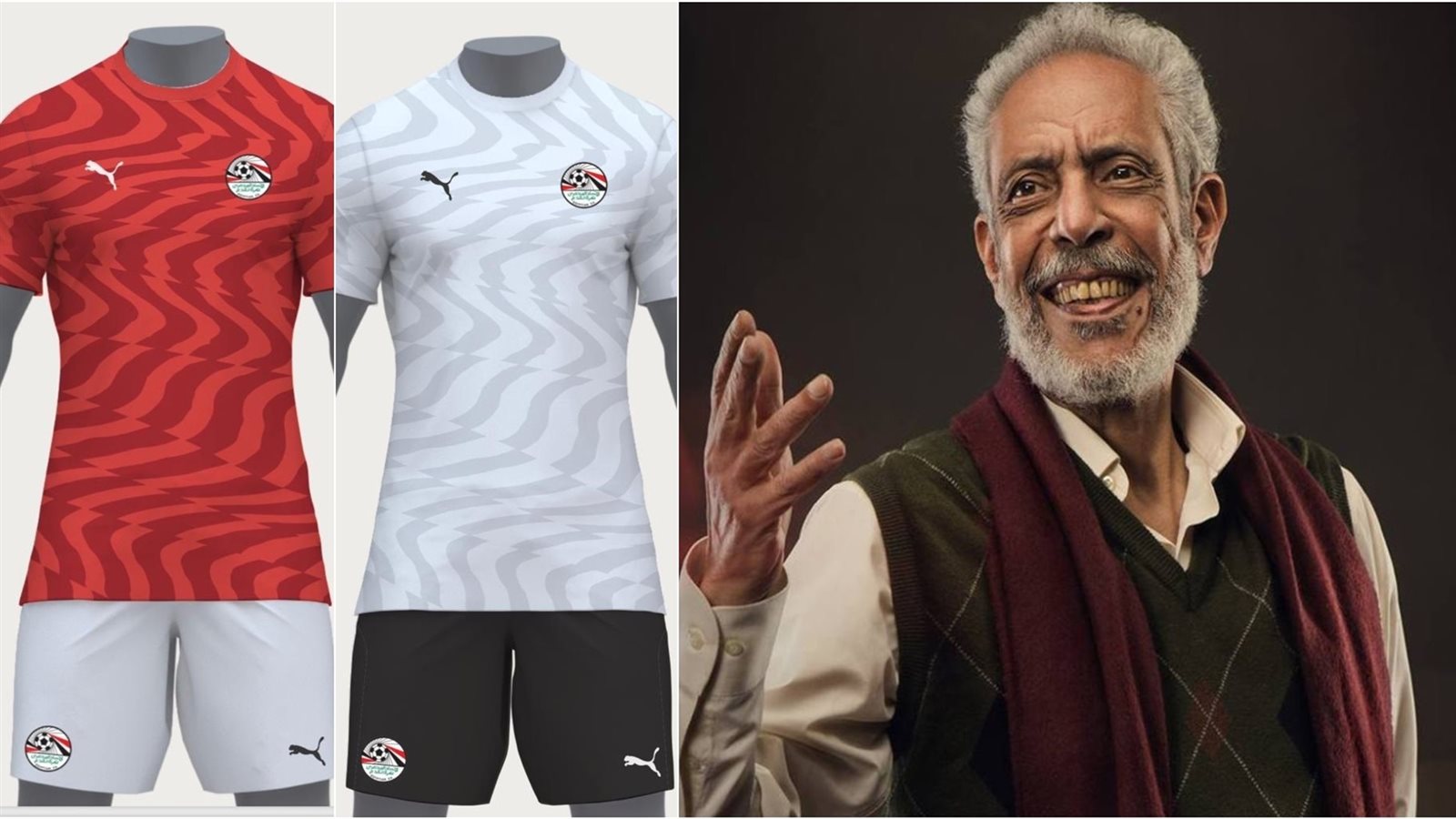 نبيل الحلفاوي