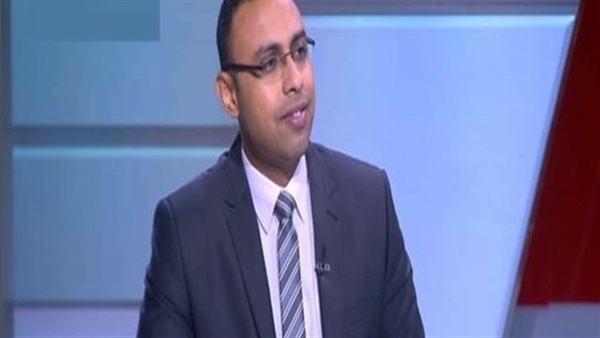 د. على الإدريسى خبير اقتصادى 