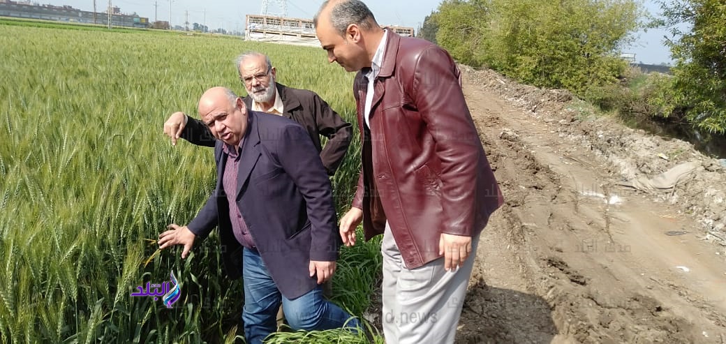 الدكتور أشرف السعيد خليل مدير معهد بحوث امراض النباتات الدكتور أشرف السعيد خليل مدير معهد بحوث امراض النباتات