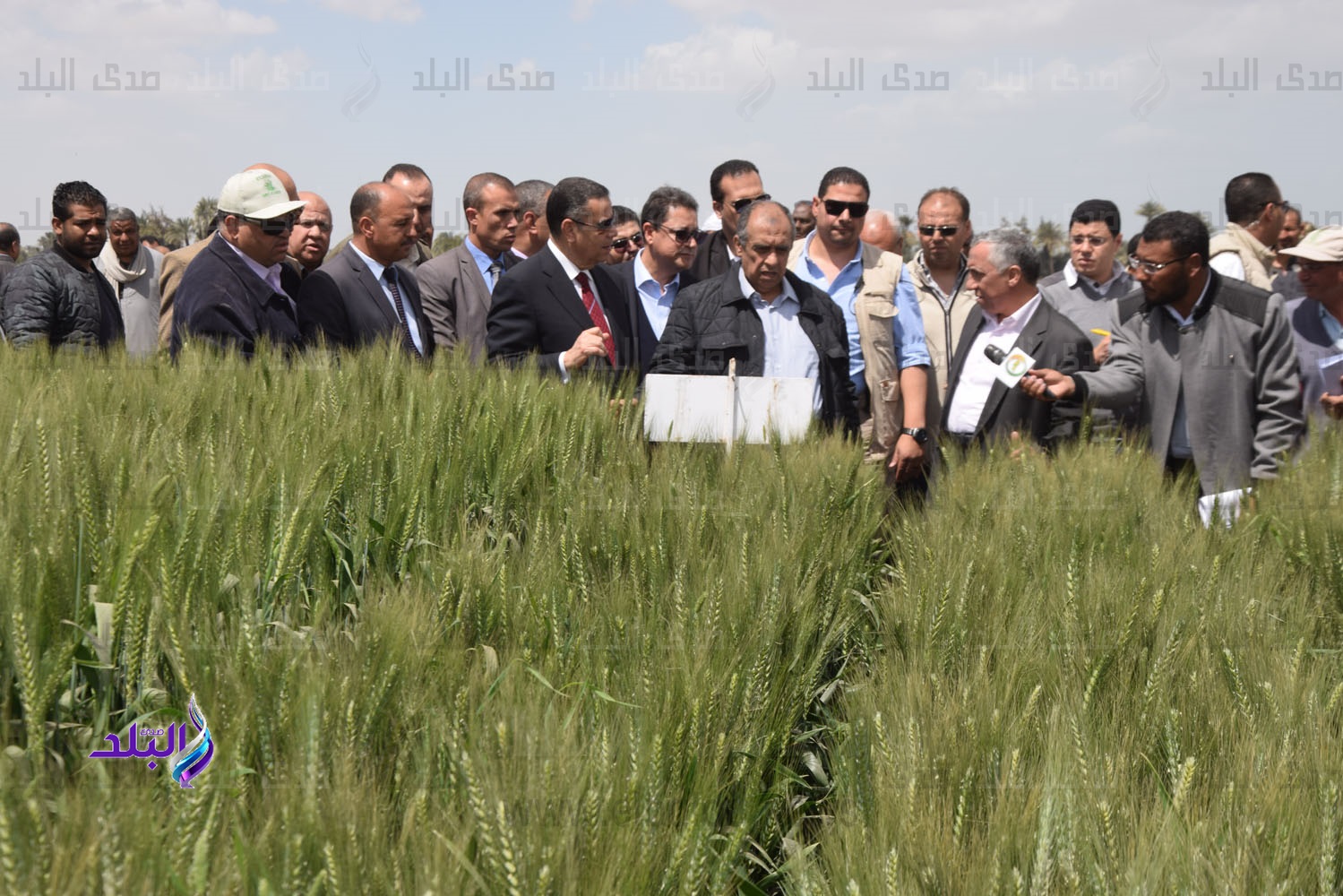 محافظ بني سويف:يؤكد على أهمية مراكز البحوث الزراعية 