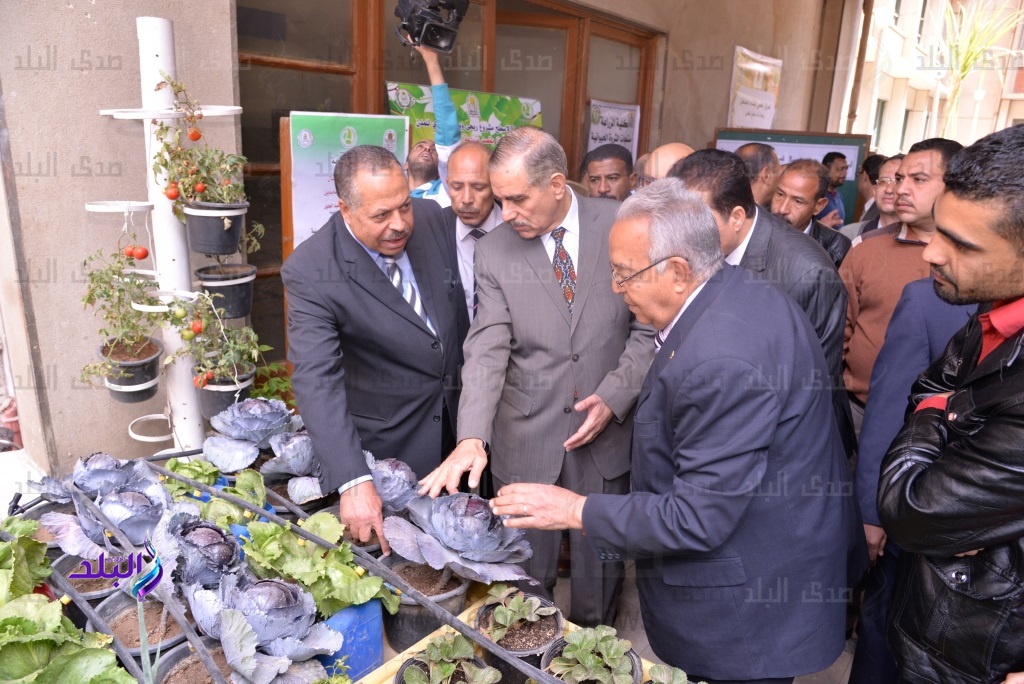 محافظ اسيوط محافظ اسيوط