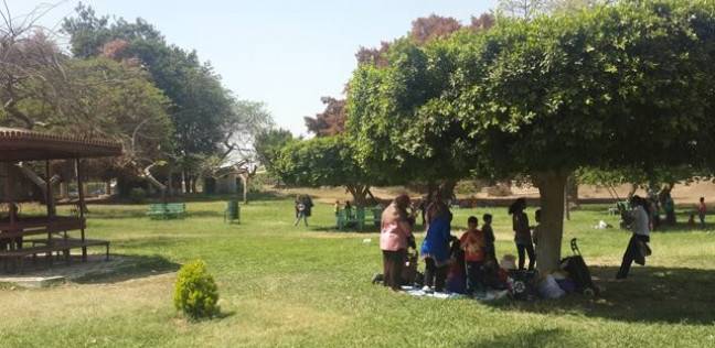 حديقة 