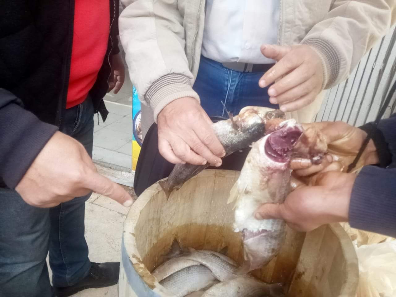 ضبط 2.5 طن سمان مجهول المصدر ضبط 2.5 طن سمان مجهول المصدر